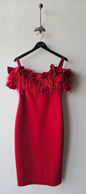 Bagley Mischka modern feather dress